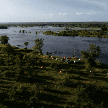 Daily Dive # 023 | Exploring Africa’s Wild Rivers